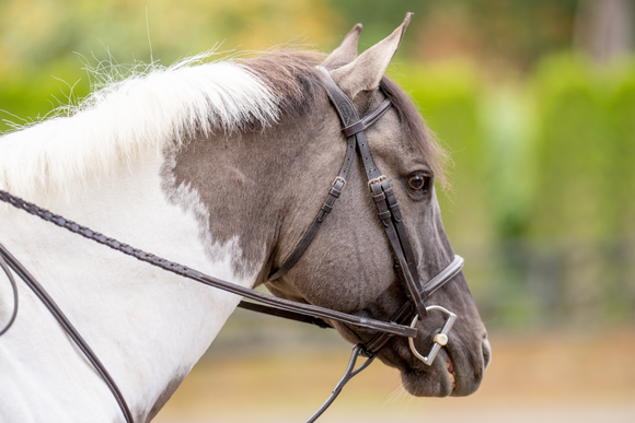Consignment pony tack
